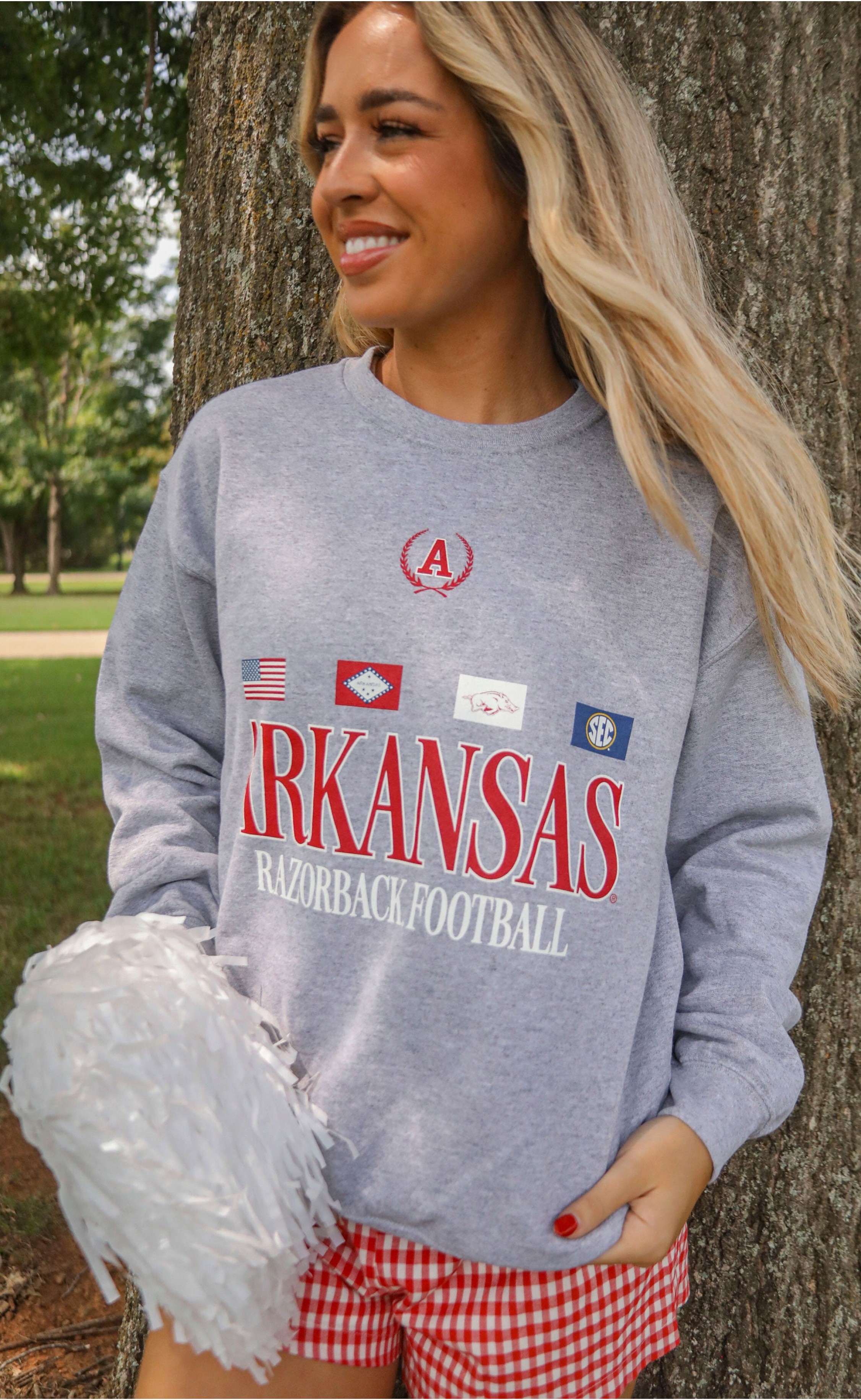 Arkansas Flag Crewneck Sweatshirt – Razorbacks-Inspired Apparel with Bold State Flag Design, Ideal for Game Days and Alumni Wear