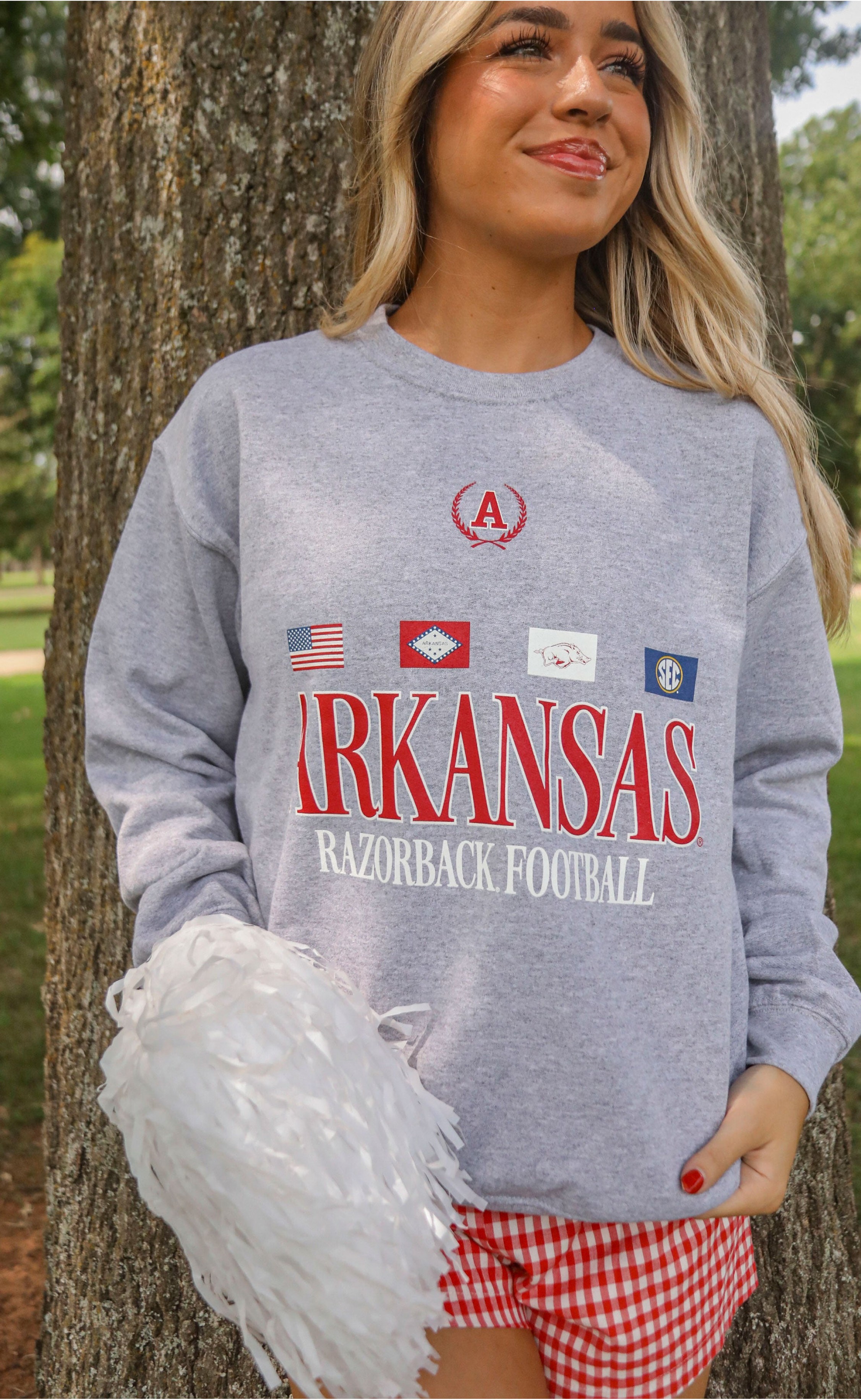 Arkansas Flag Crewneck Sweatshirt – Razorbacks-Inspired Apparel with Bold State Flag Design, Ideal for Game Days and Alumni Wear
