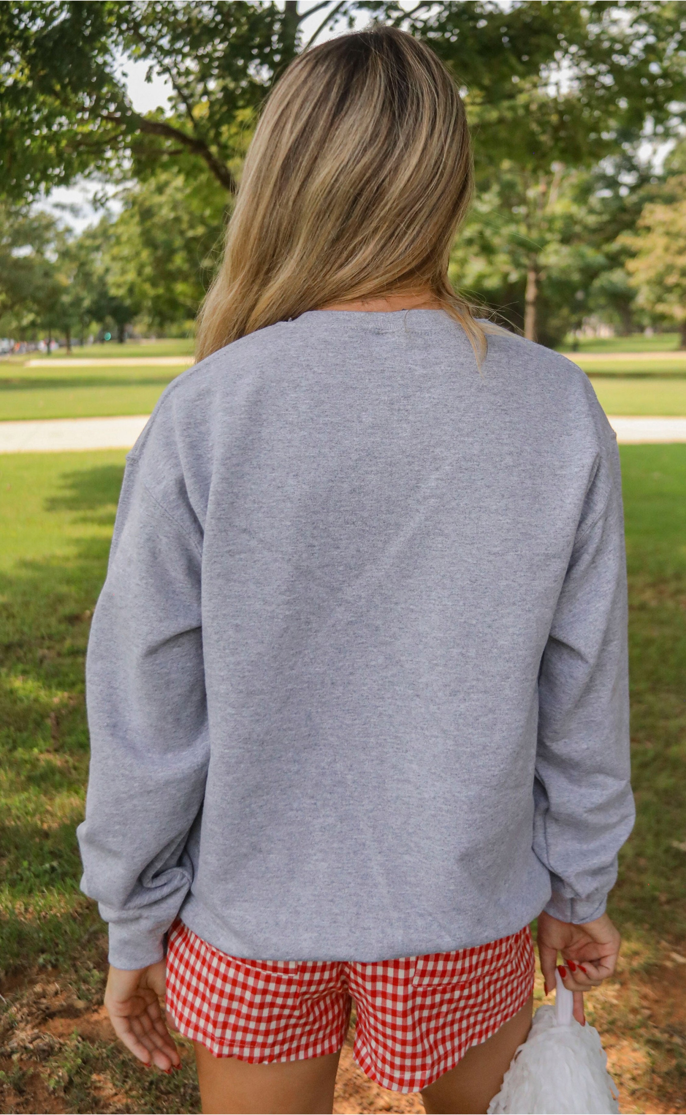 Arkansas Flag Crewneck Sweatshirt – Razorbacks-Inspired Apparel with Bold State Flag Design, Ideal for Game Days and Alumni Wear